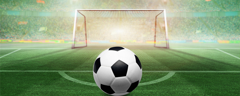 就是他们对 就是他们对